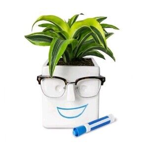 Face Plant | Novelty Planter Holds Plants Glasses & You Can Draw On Great Gift